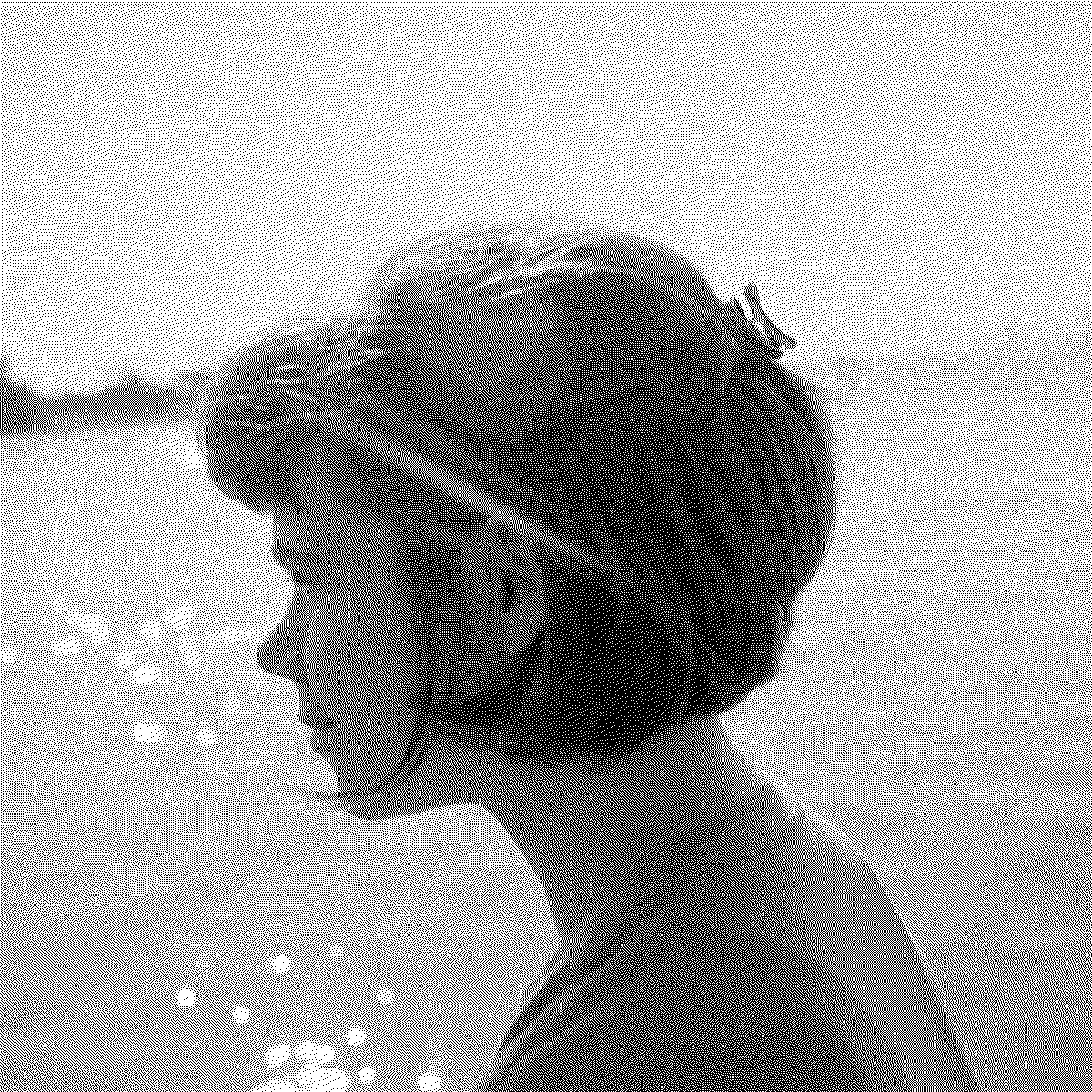 Laurel Schwulst: Ultralight School