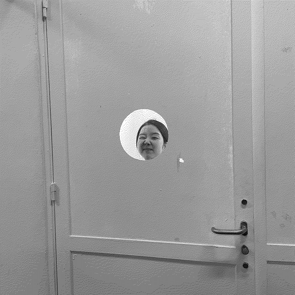 Jisu: Birdcall